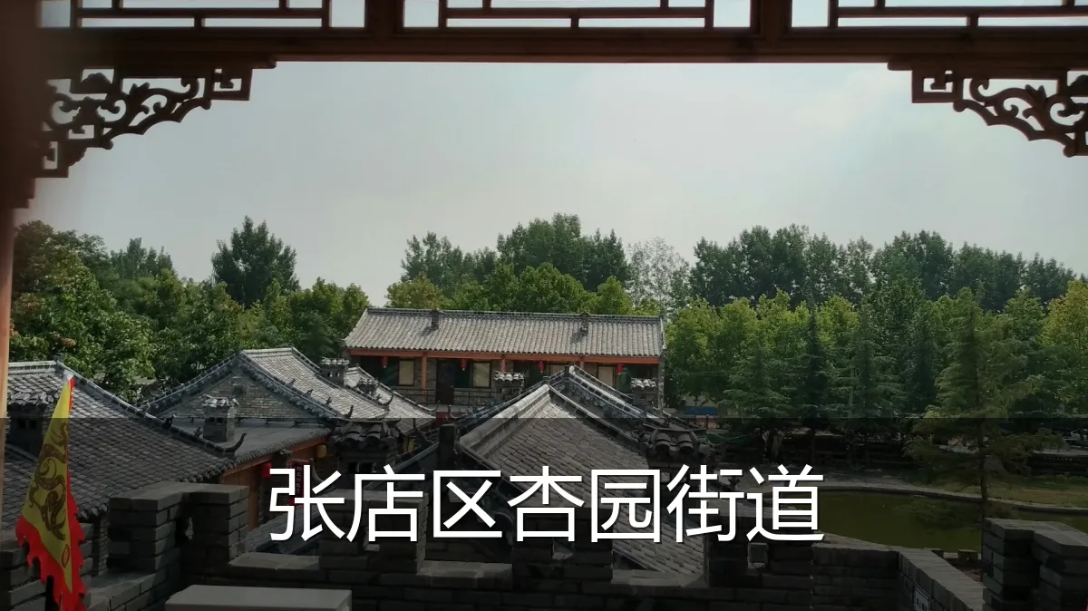 张店区杏园街道