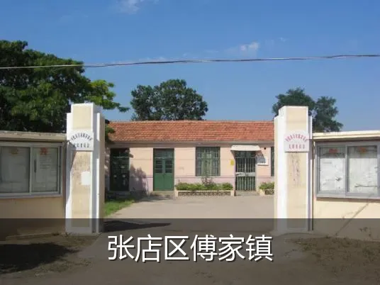 张店区傅家镇